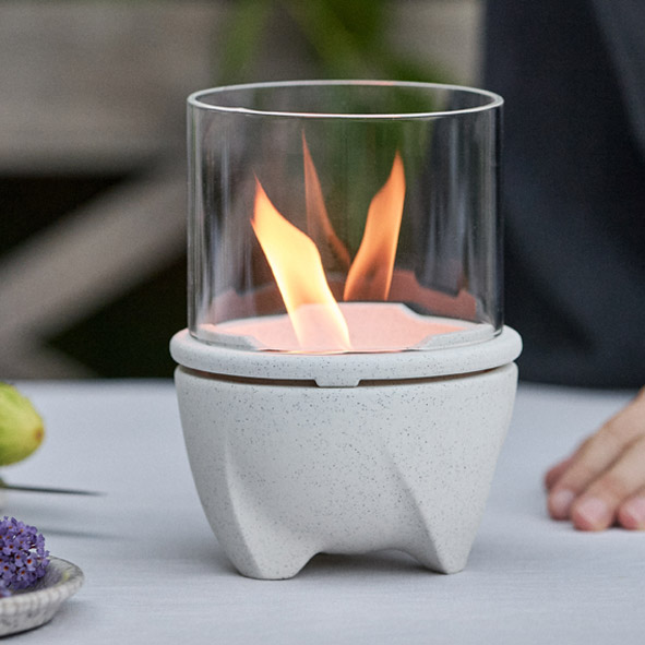 Indoor Albicium mit Windglas